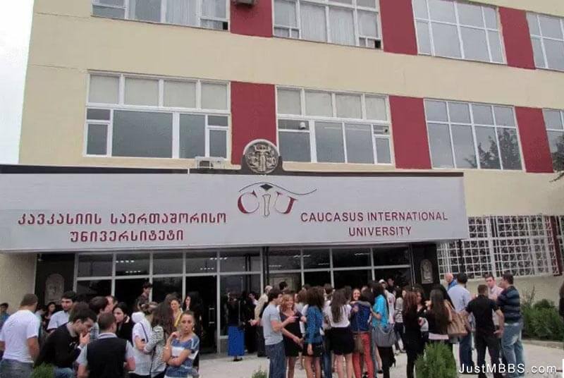 Caucasus International University