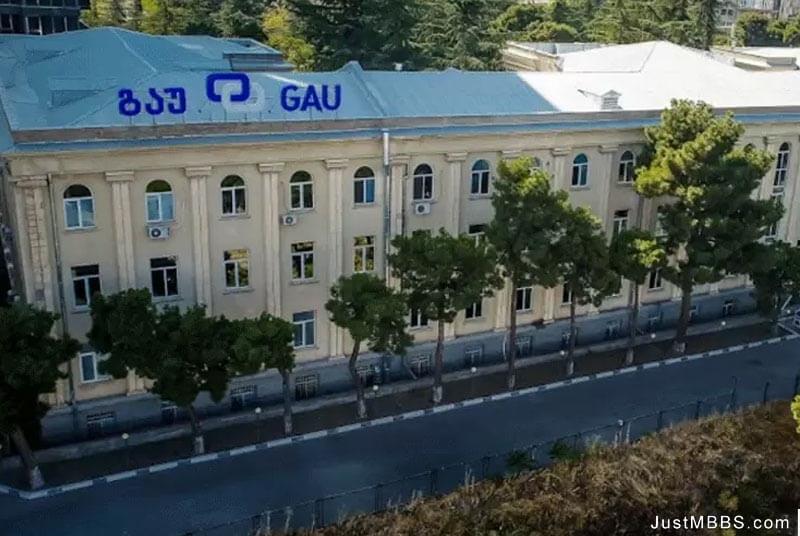 Georgian American University