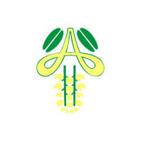 Amaltas Institute of Medical Sciences logo